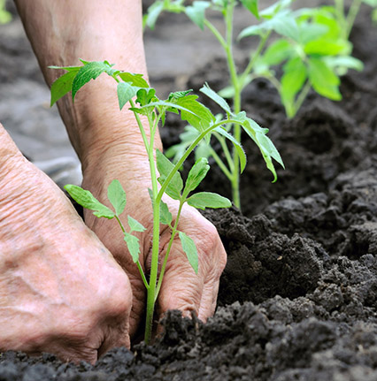 青島閑農(nóng)抗性雜草防治有限公司